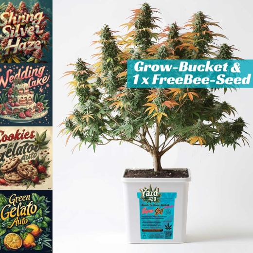 Grow Bucket super Soil mineralic